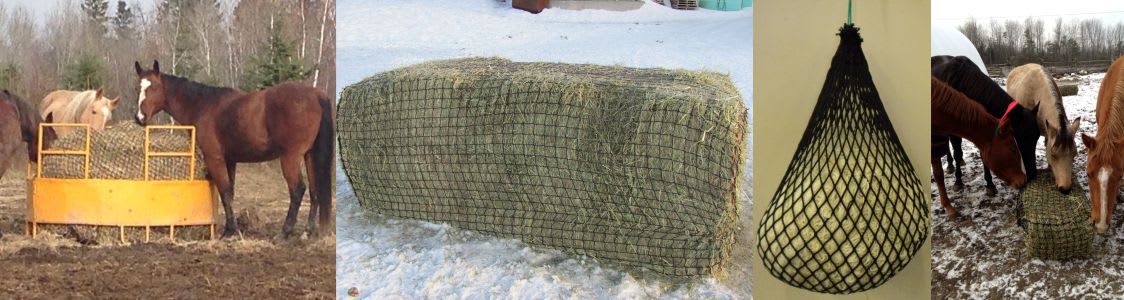variety of slow feed hay nets with horses eating