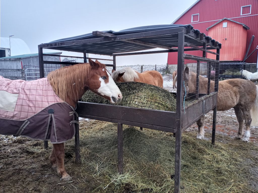 Slow netting horse feeders